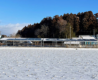 宮城県大崎発電所